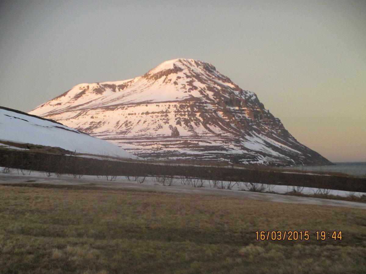 Smyrill Cottages Þórshöfn 外观 照片